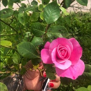 LIFE IS BEAUTIFUL ❤️